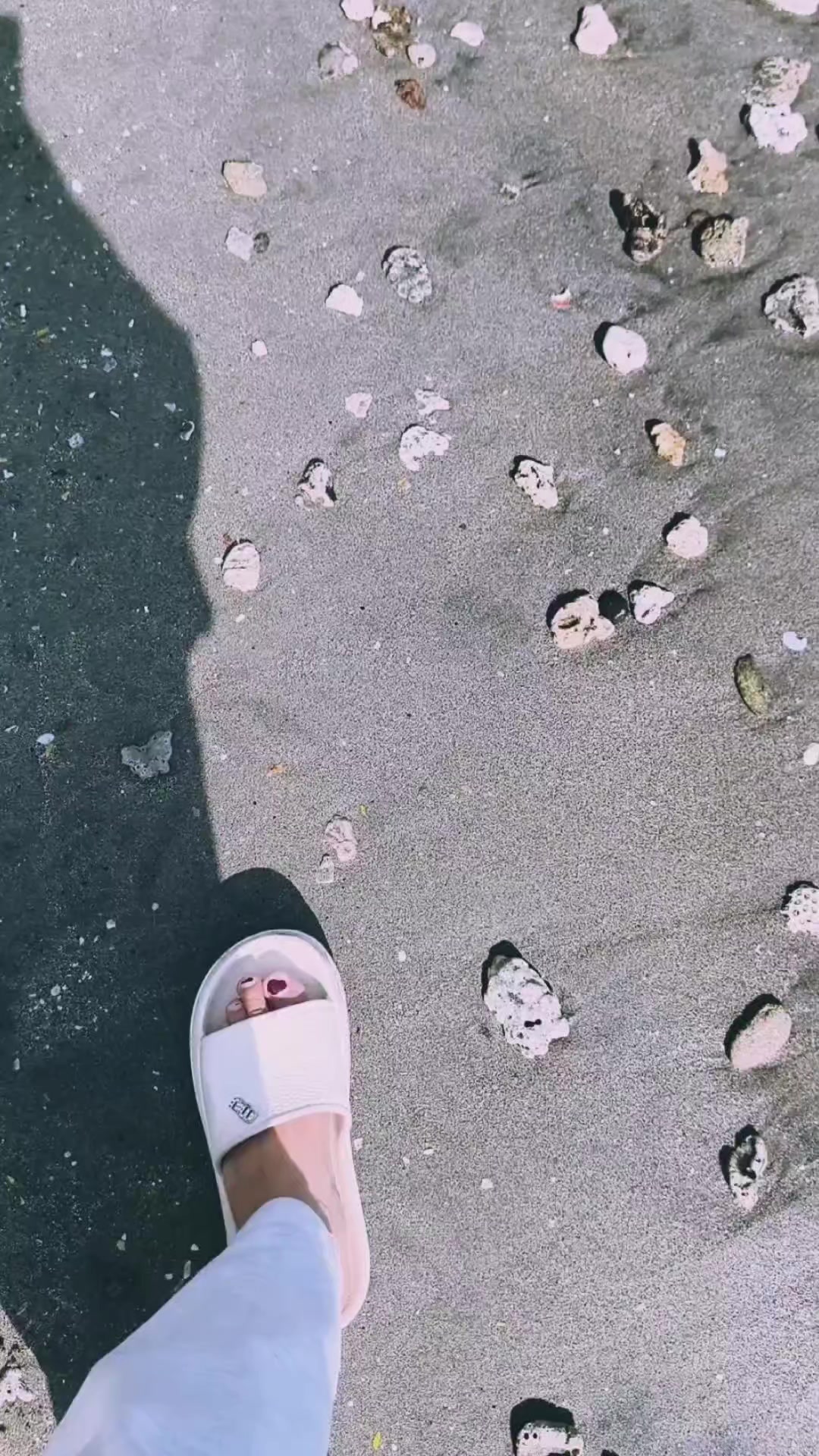 @R I S H A mo 🦋
