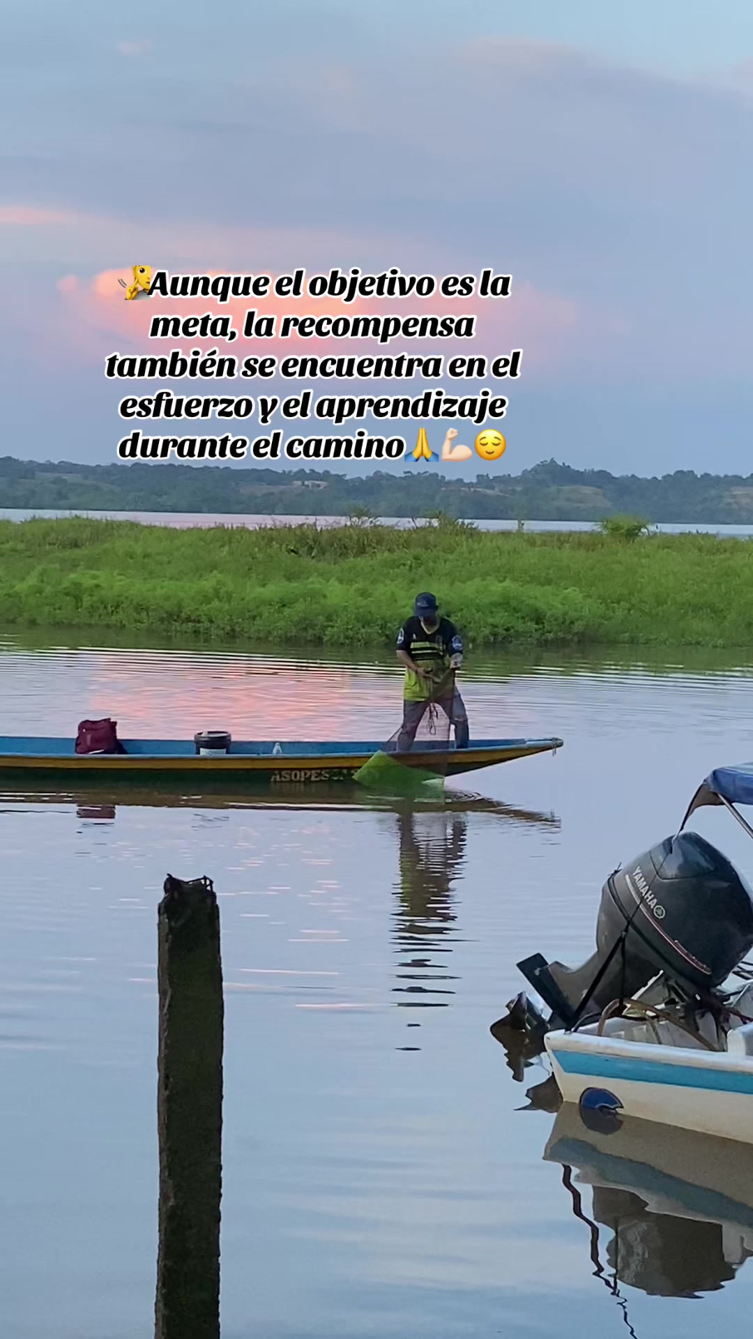 @🎵buenaver-estados✏️