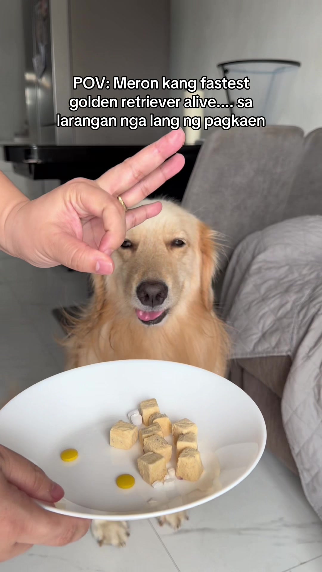 @cammydudels