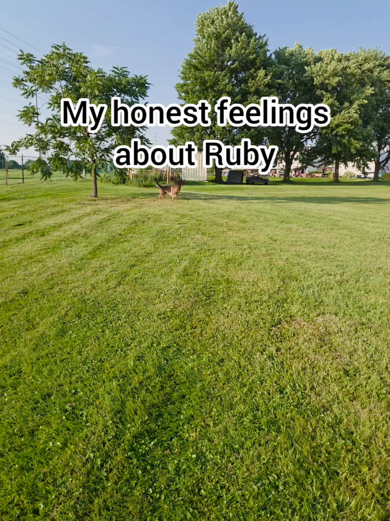 @BuddyandMikes Pal