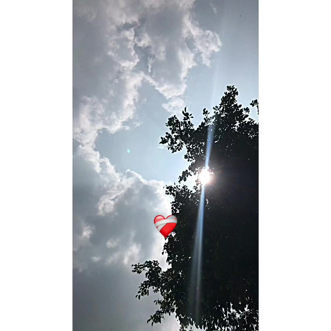 @پنجاب ❤️🩹