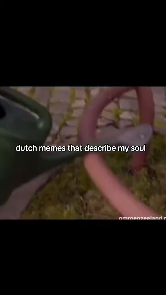 @xilyus