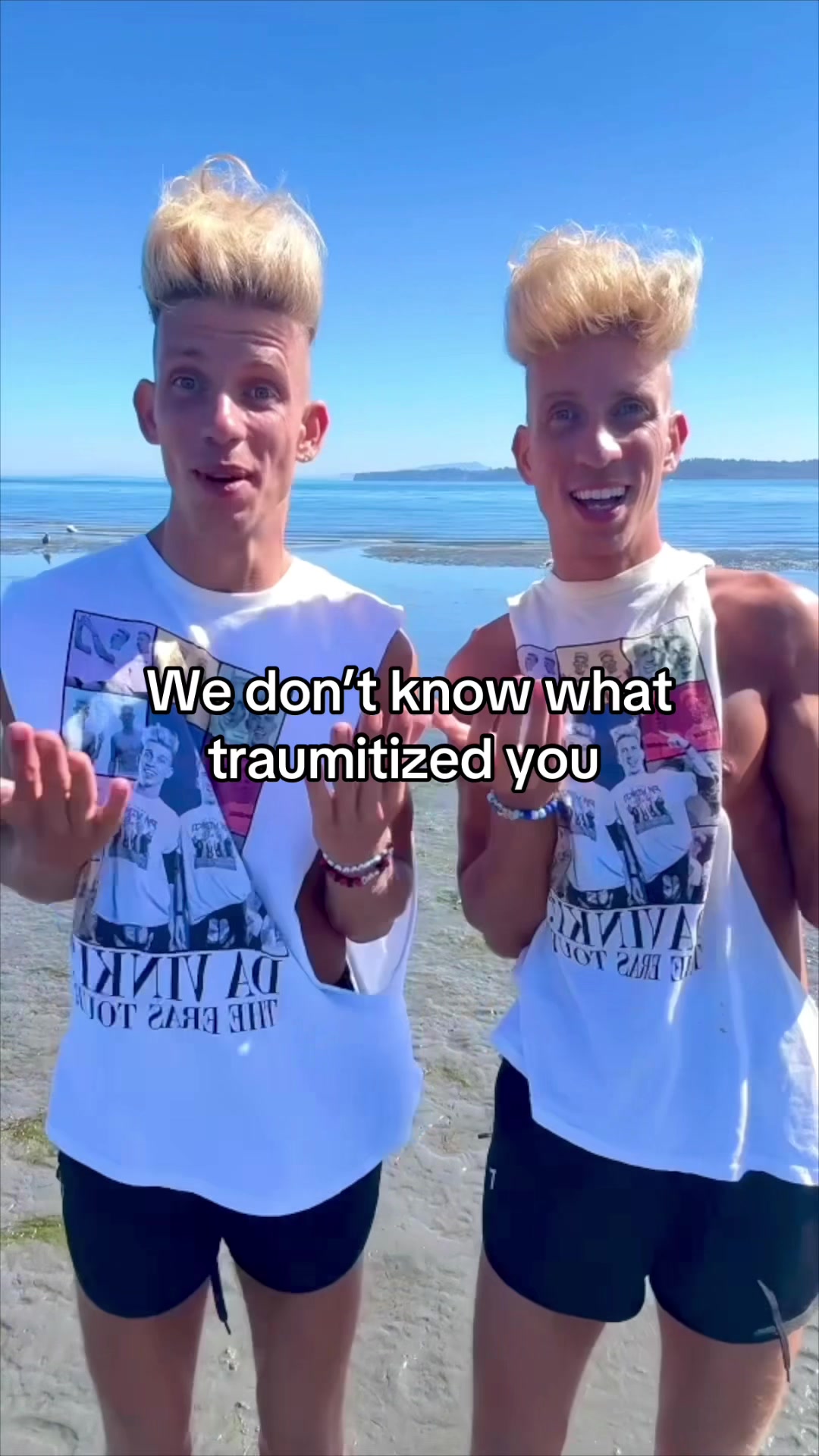 @vorostwins