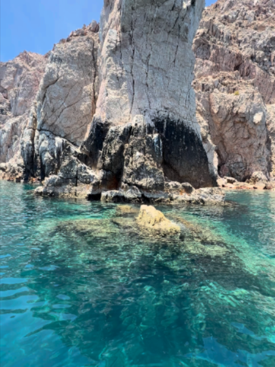 @Baja Molinito Experience