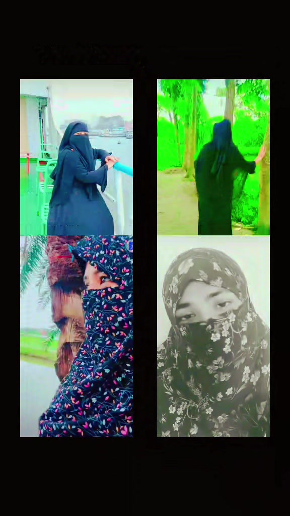 @ভালোবাসার লাল গোলাপ 🌹🌹