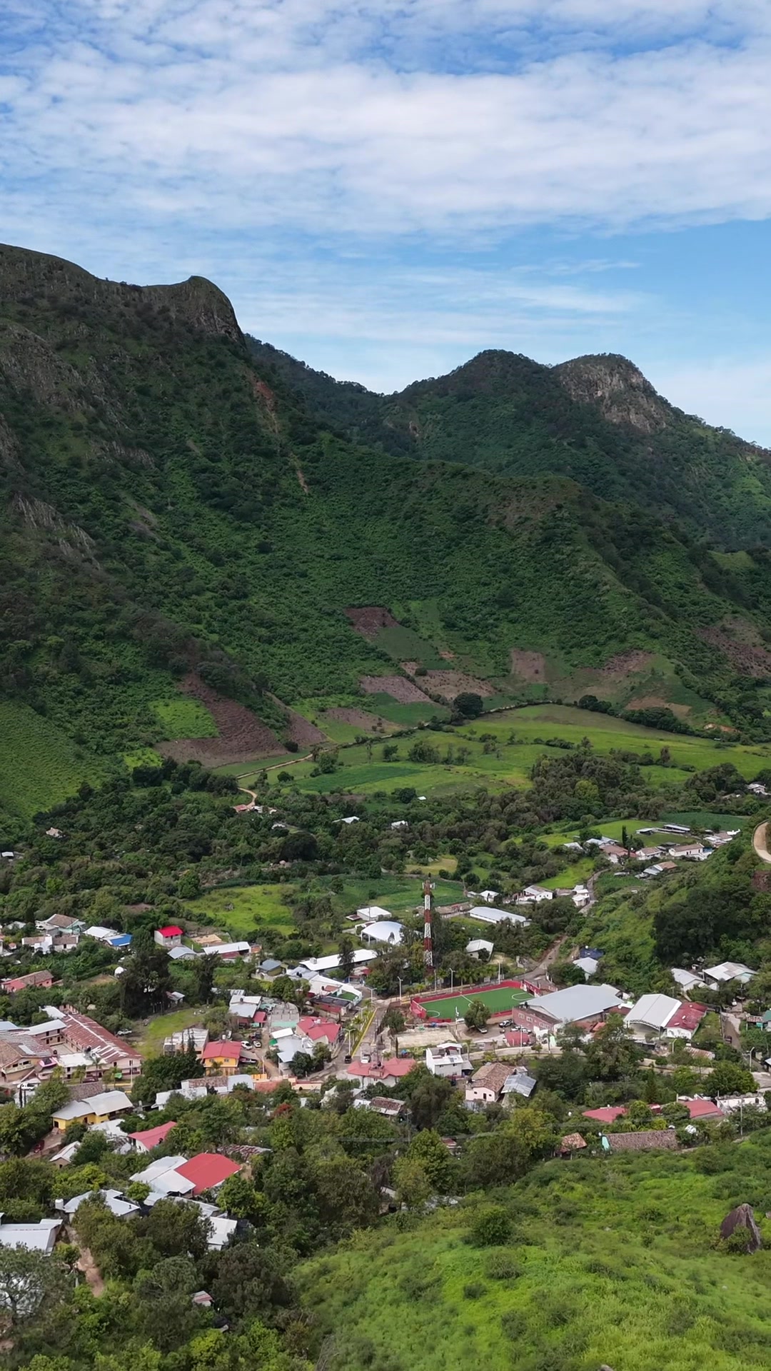 @Moy Osuna