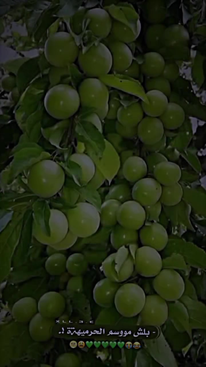 @ااݪـ حݪوﯡة ١.