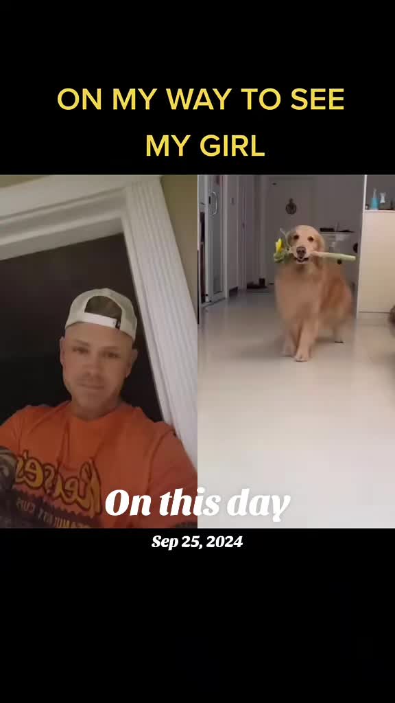 @Shredmaster3000