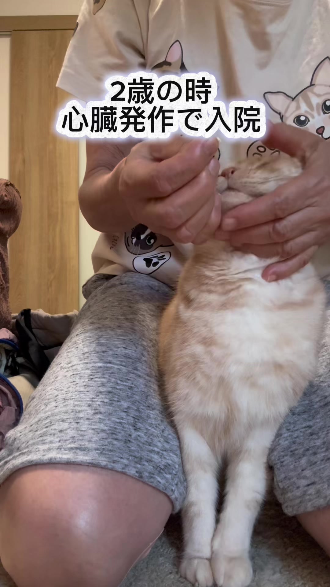 @nekotikwa