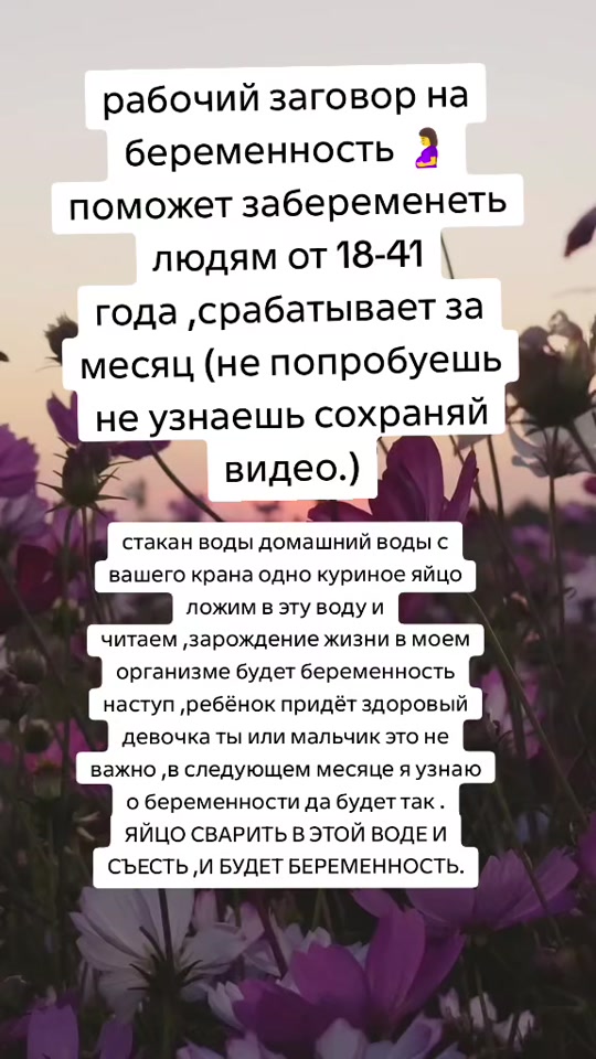 @Tarolog5467