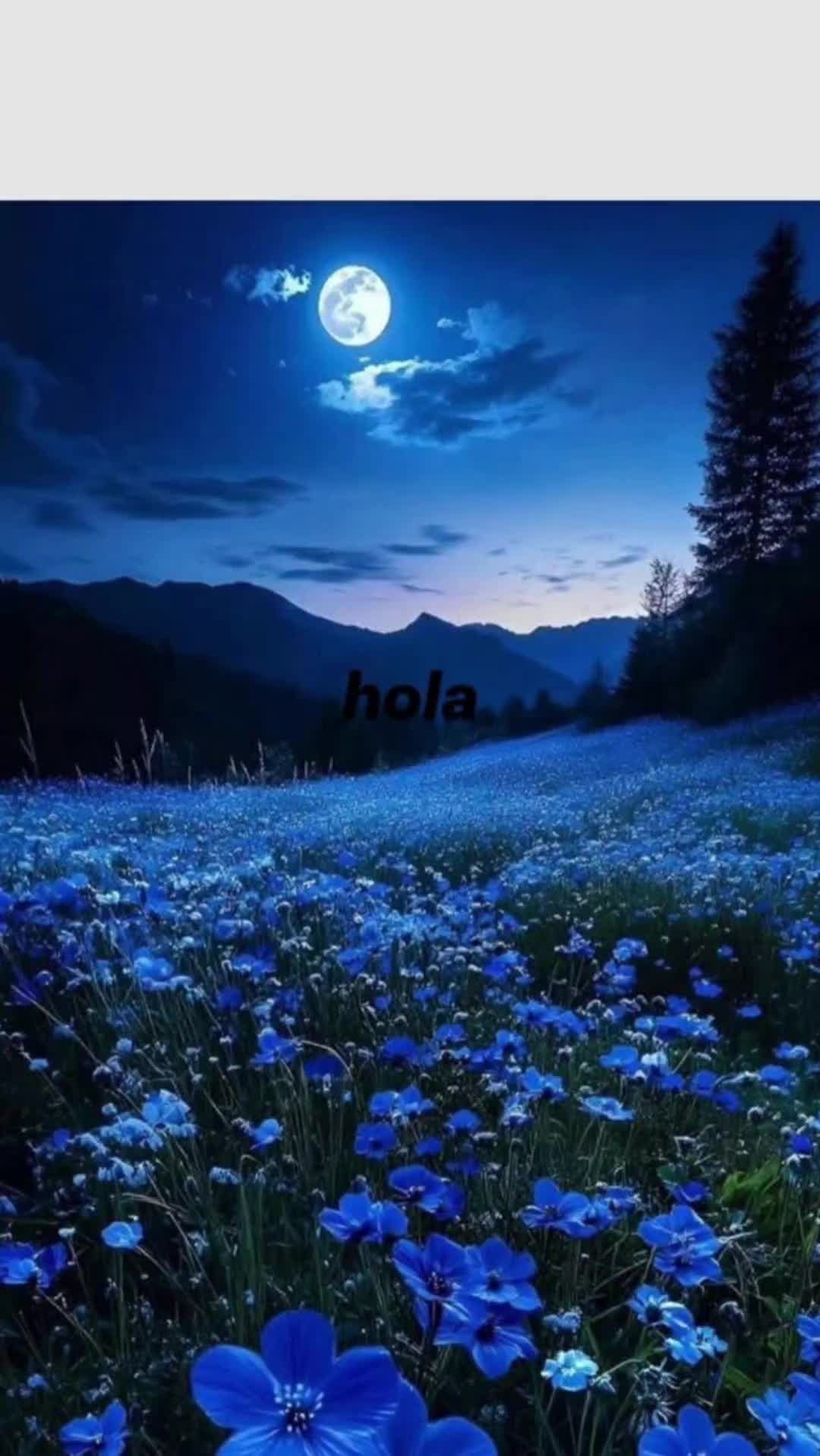 @FINCA TU CASA