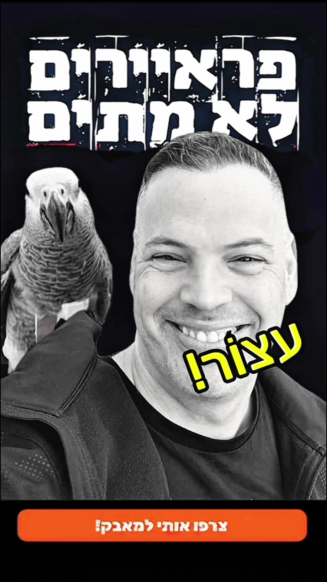 @נפגעי אלעד הדר