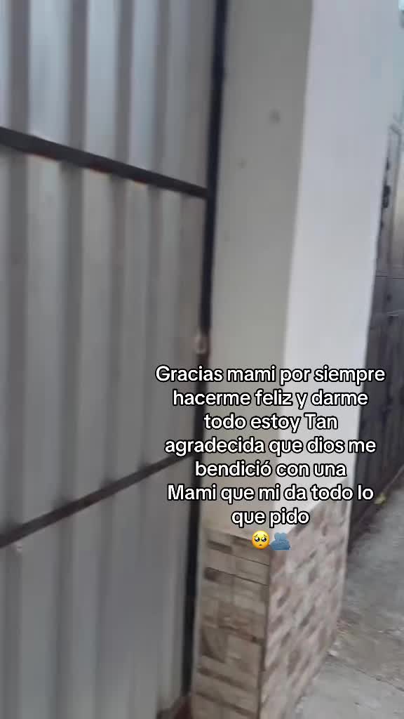 @lachapinaquebradora