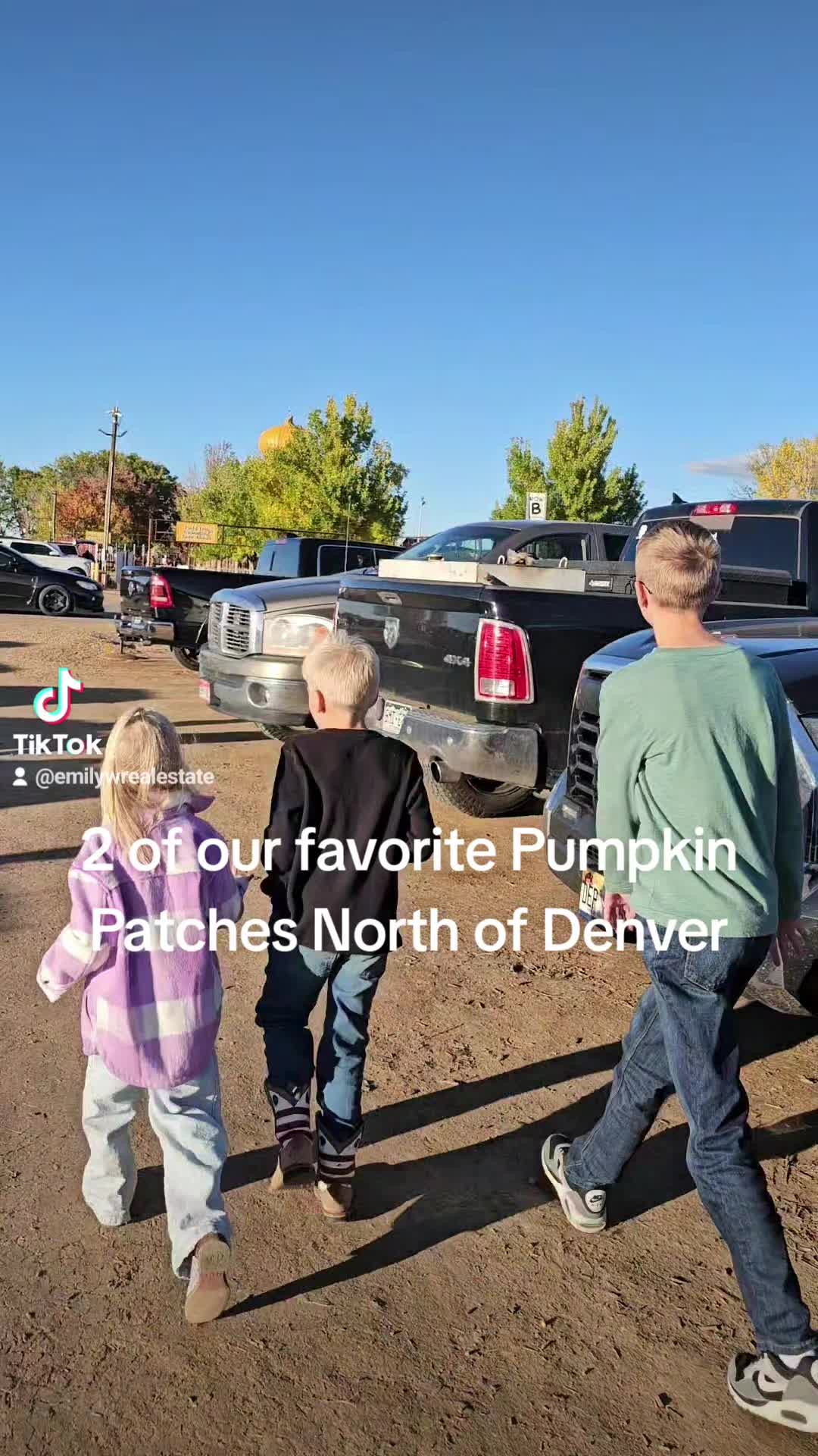 @@emilywolfecoloradorealtor