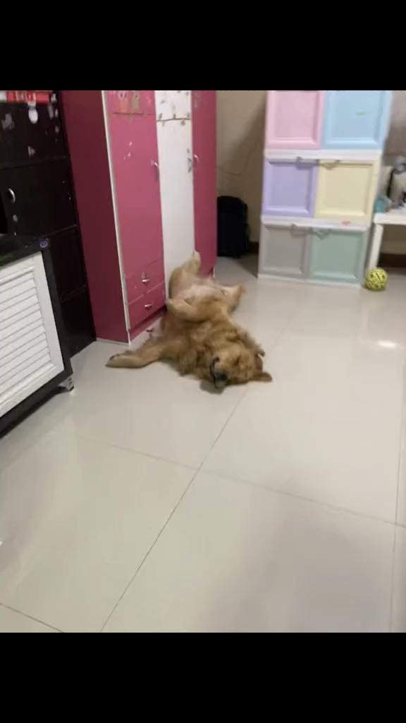 @ponzip01