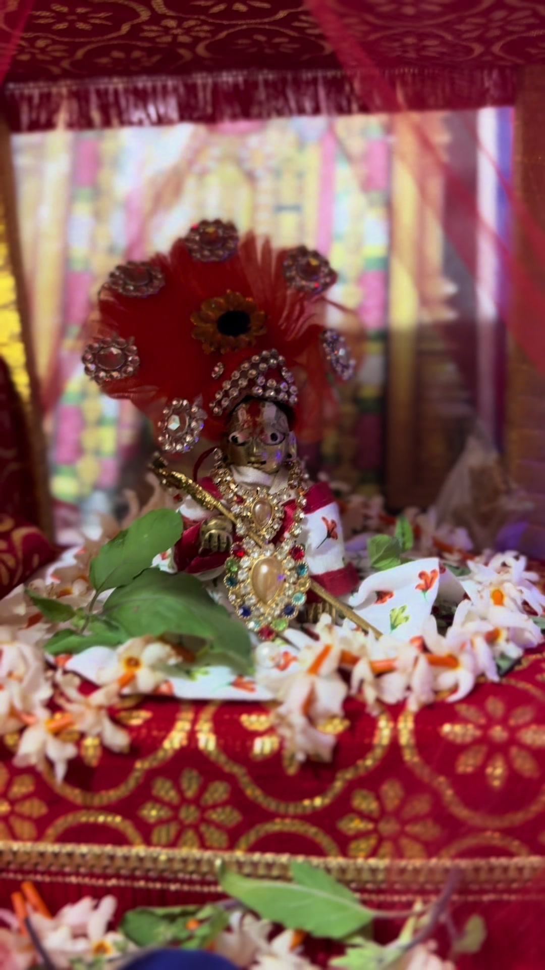 @sandhya