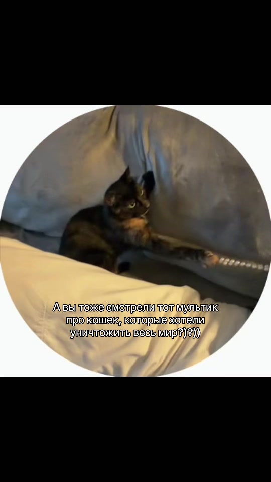 @Юленька 🎀