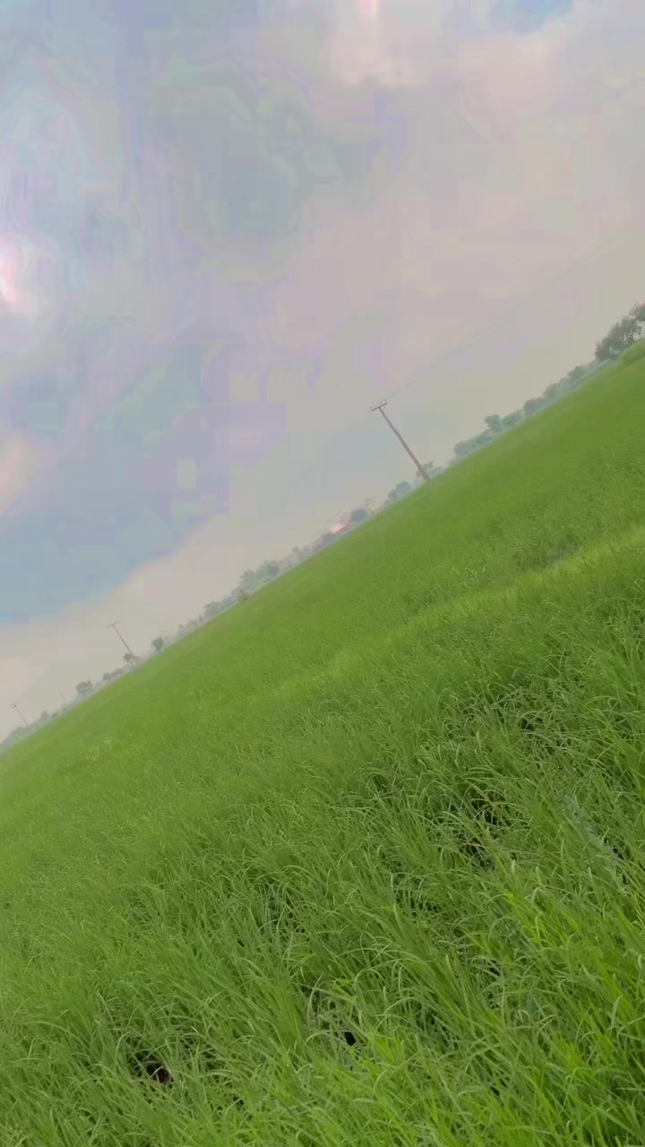 @nimraquveen2