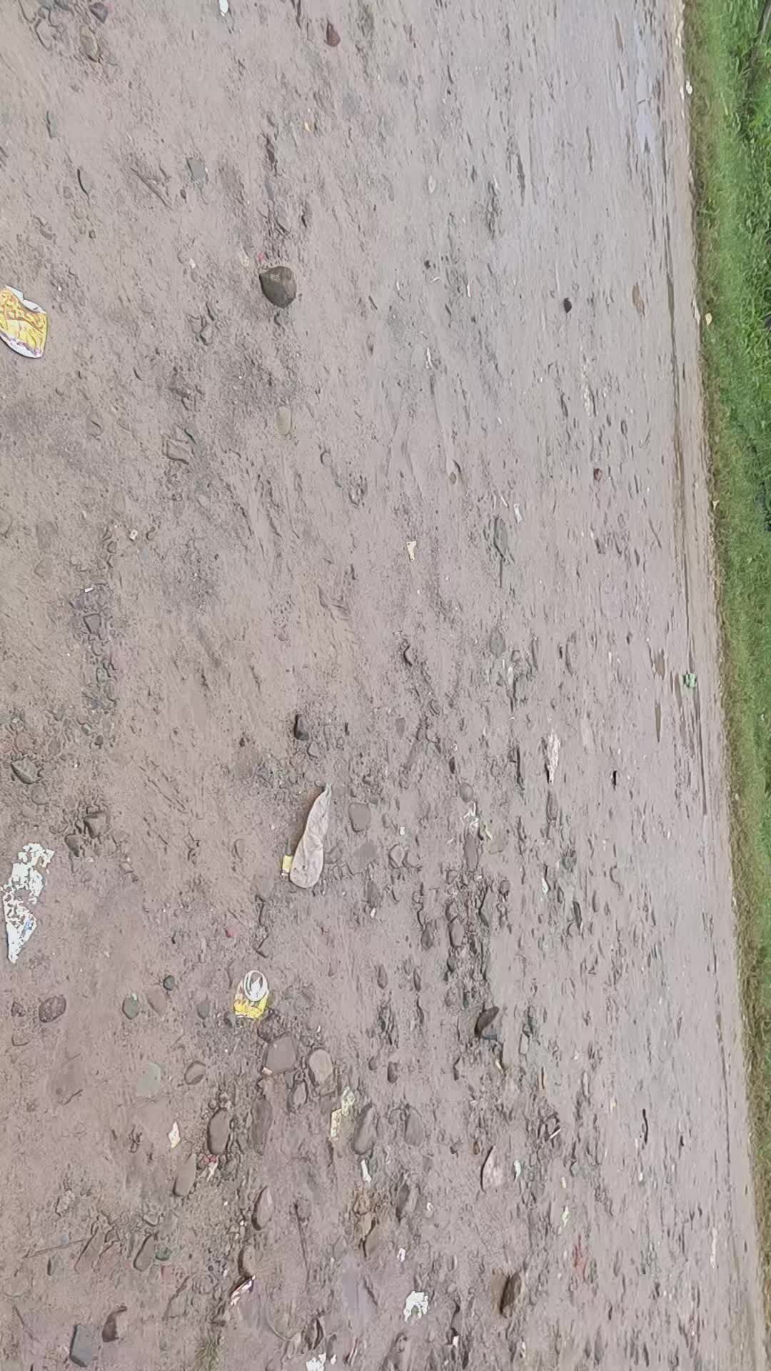 @ब्राह्मण ब्रान्ड