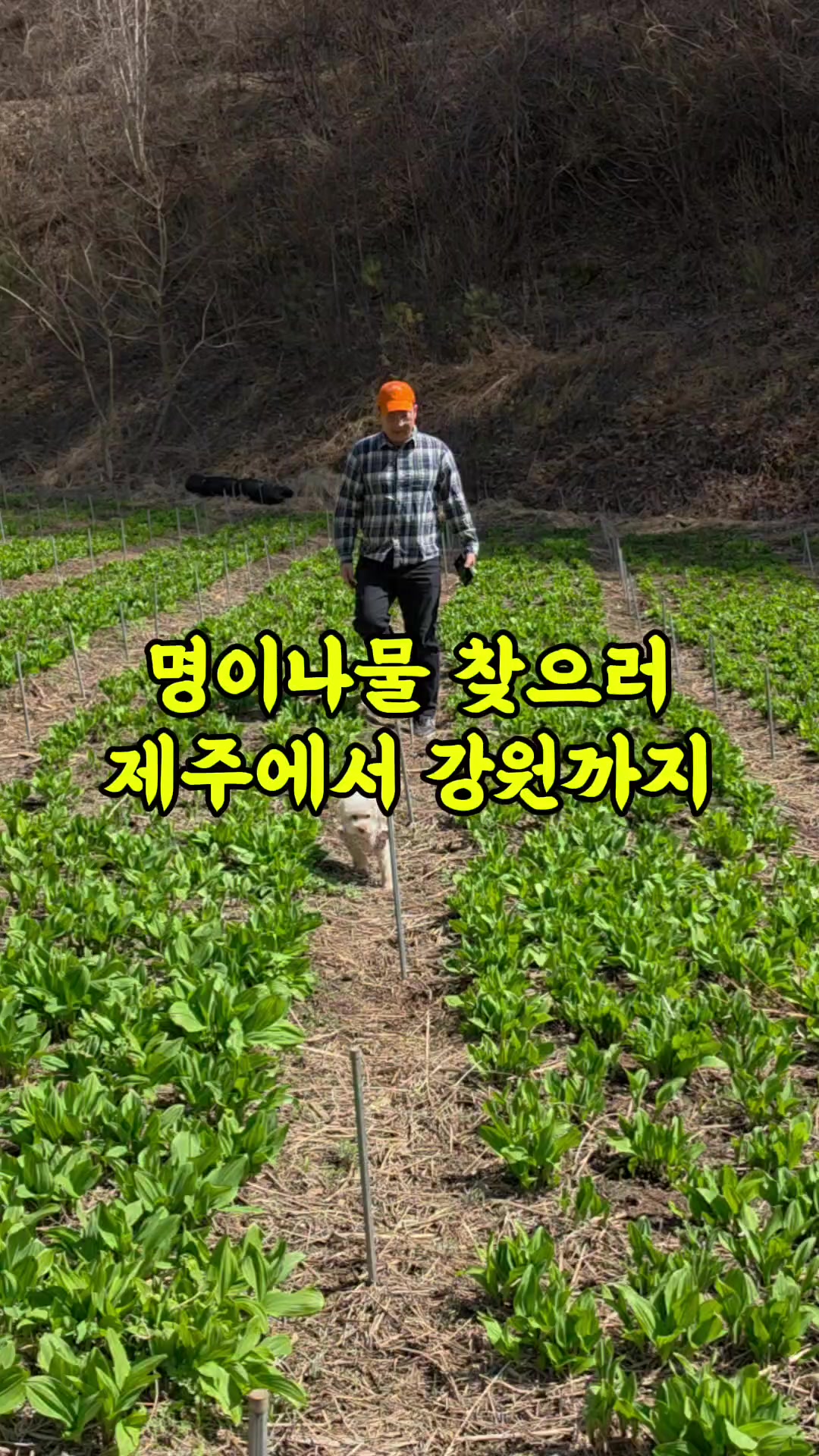@진심먹거리
