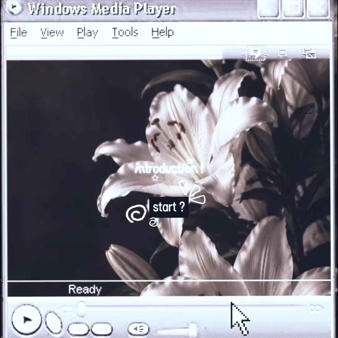 @ᴢ𝐨𝐞𝐲 ꨄ
