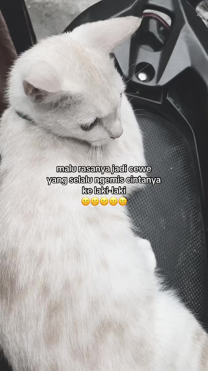 @idk🤷🏻♀️