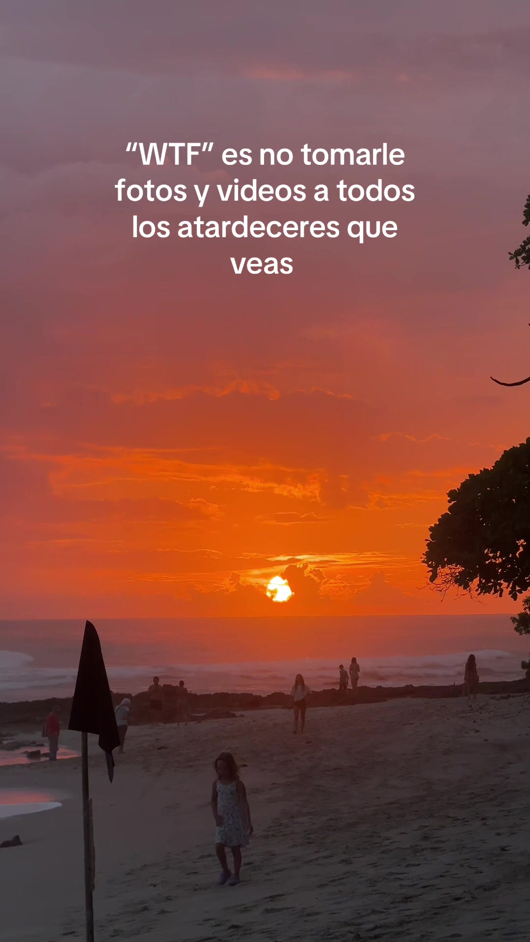 @Paola M