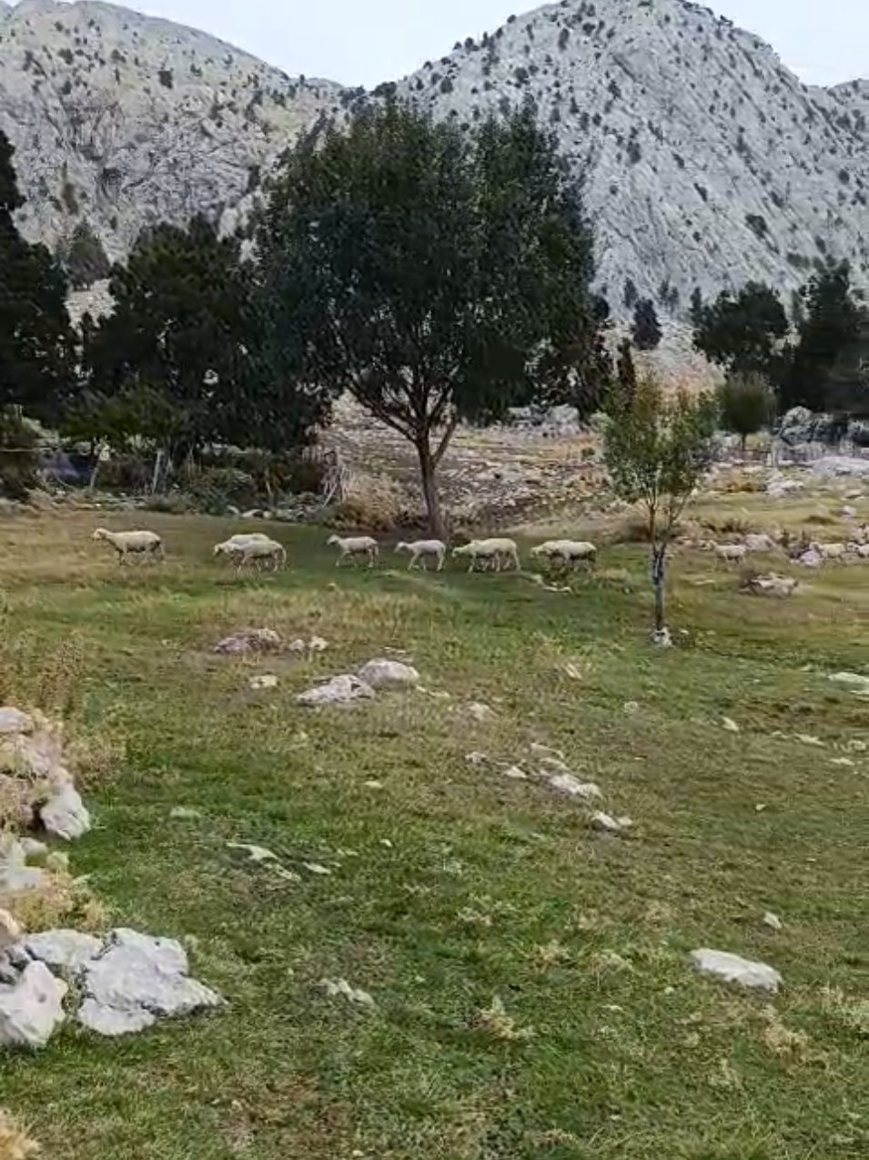 @G&uuml;m&uuml;l&uuml;Bilal