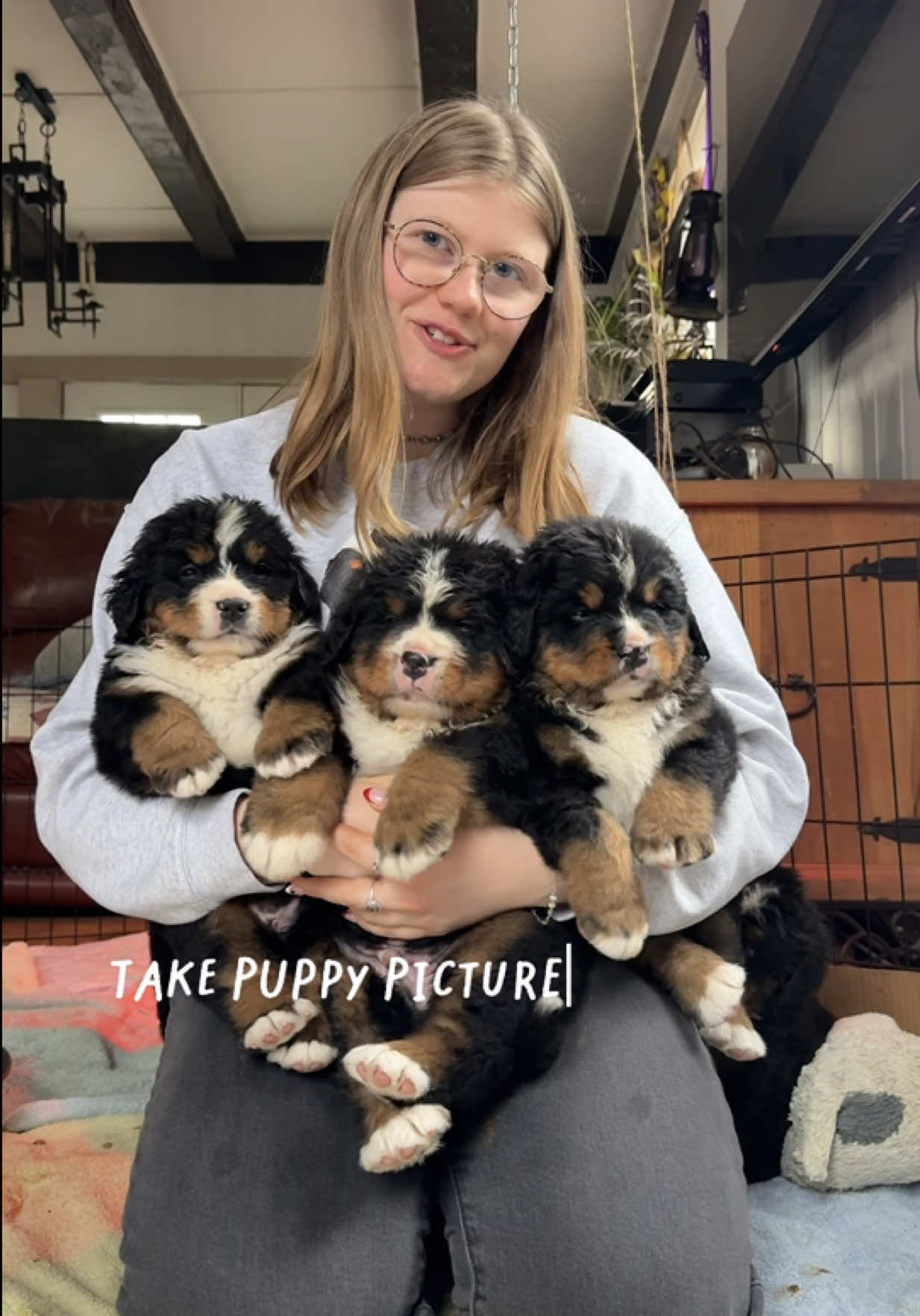 @Alpenspirit Bernese
