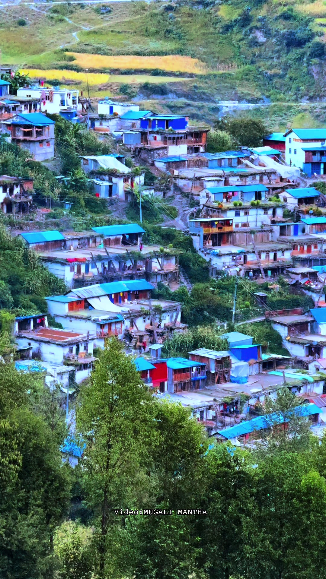 @मुगालि मान्ठ🇳🇵