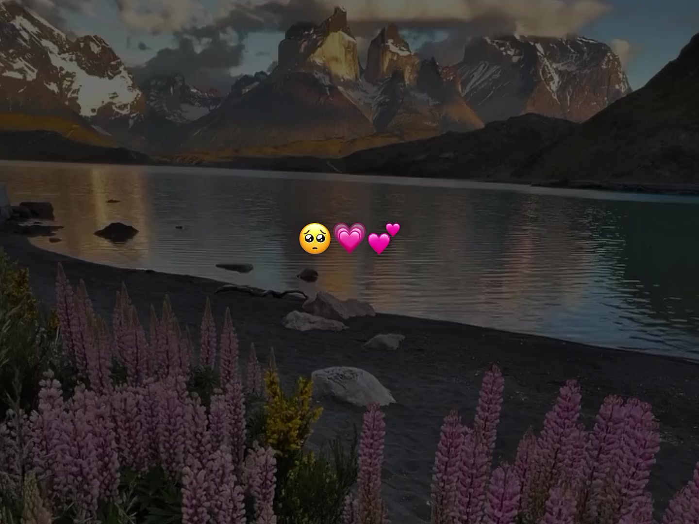 @★𝕳𝖊𝖓𝖗𝖗𝖞_𝖒𝖚𝖘𝖎𝖈★