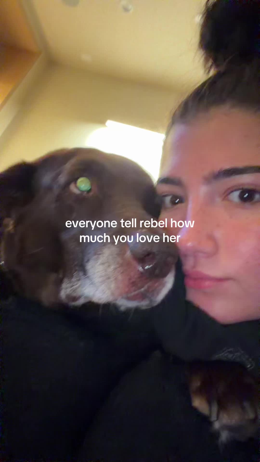 @charli d&rsquo;amelio