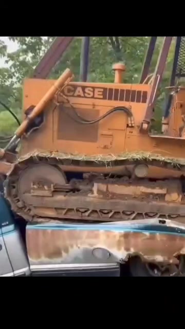 @Que bonito es lo 🐺 bonito🤠