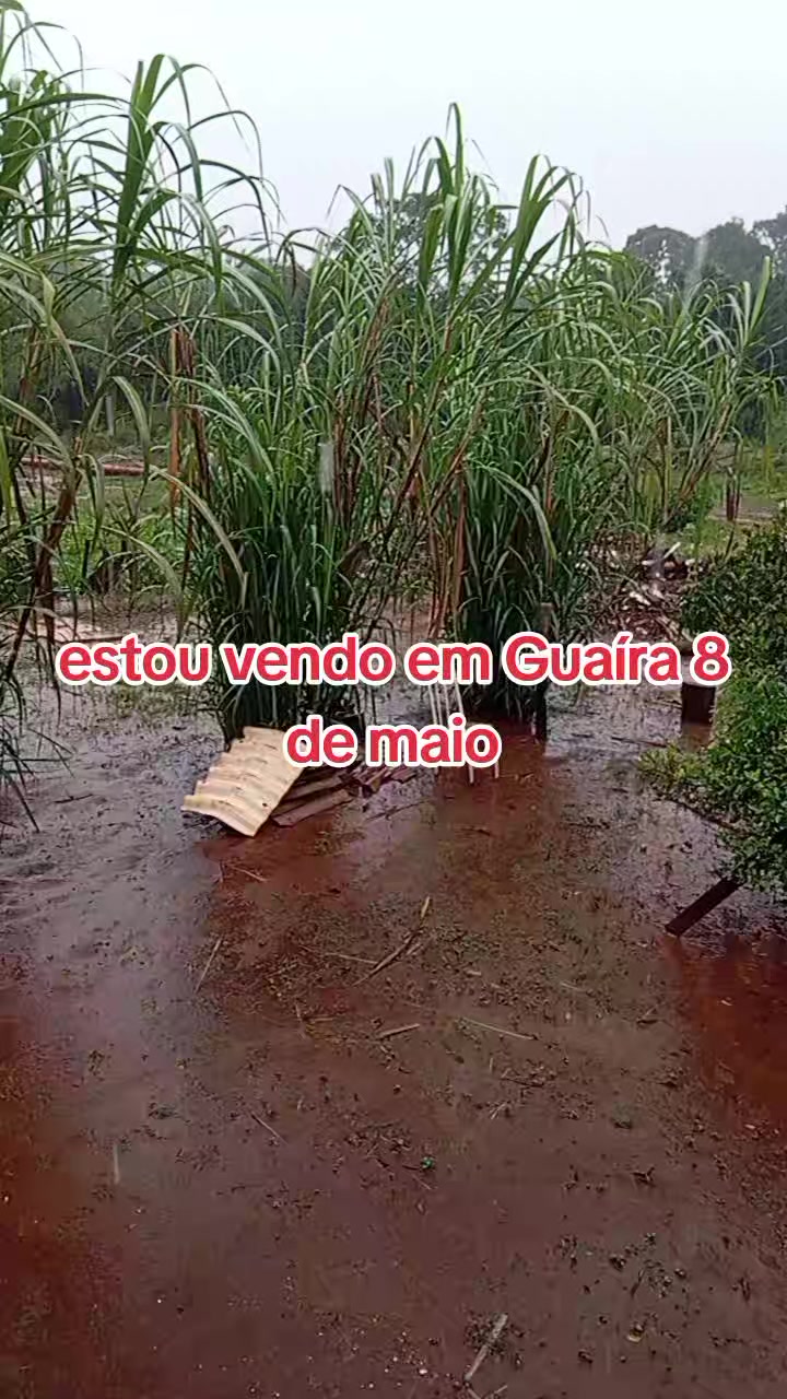 @ALELUIA E VOVÓ ANA