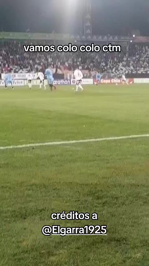 @indumentaria_colocolo_6