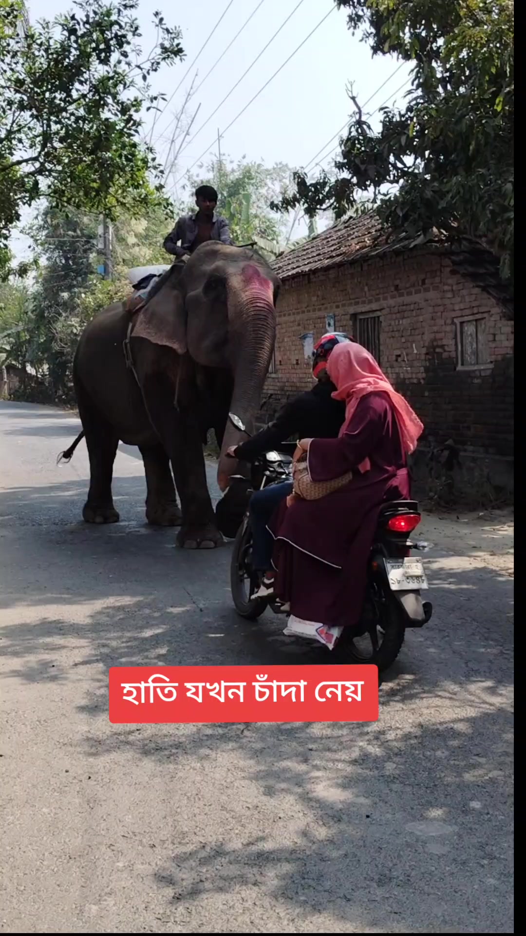 @সুকনা মরিচ🌶️🌶️🌶️