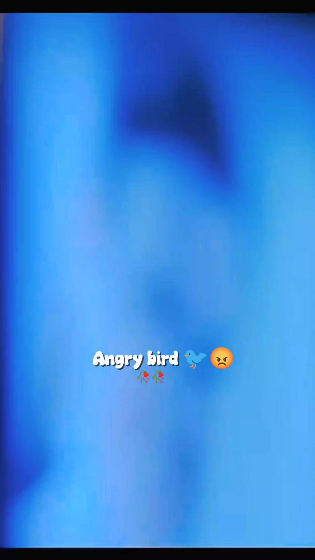 @💫𝖆𝖓𝖌𝖗𝖞 𝖇𝖎𝖗𝖉𝖘💫💥