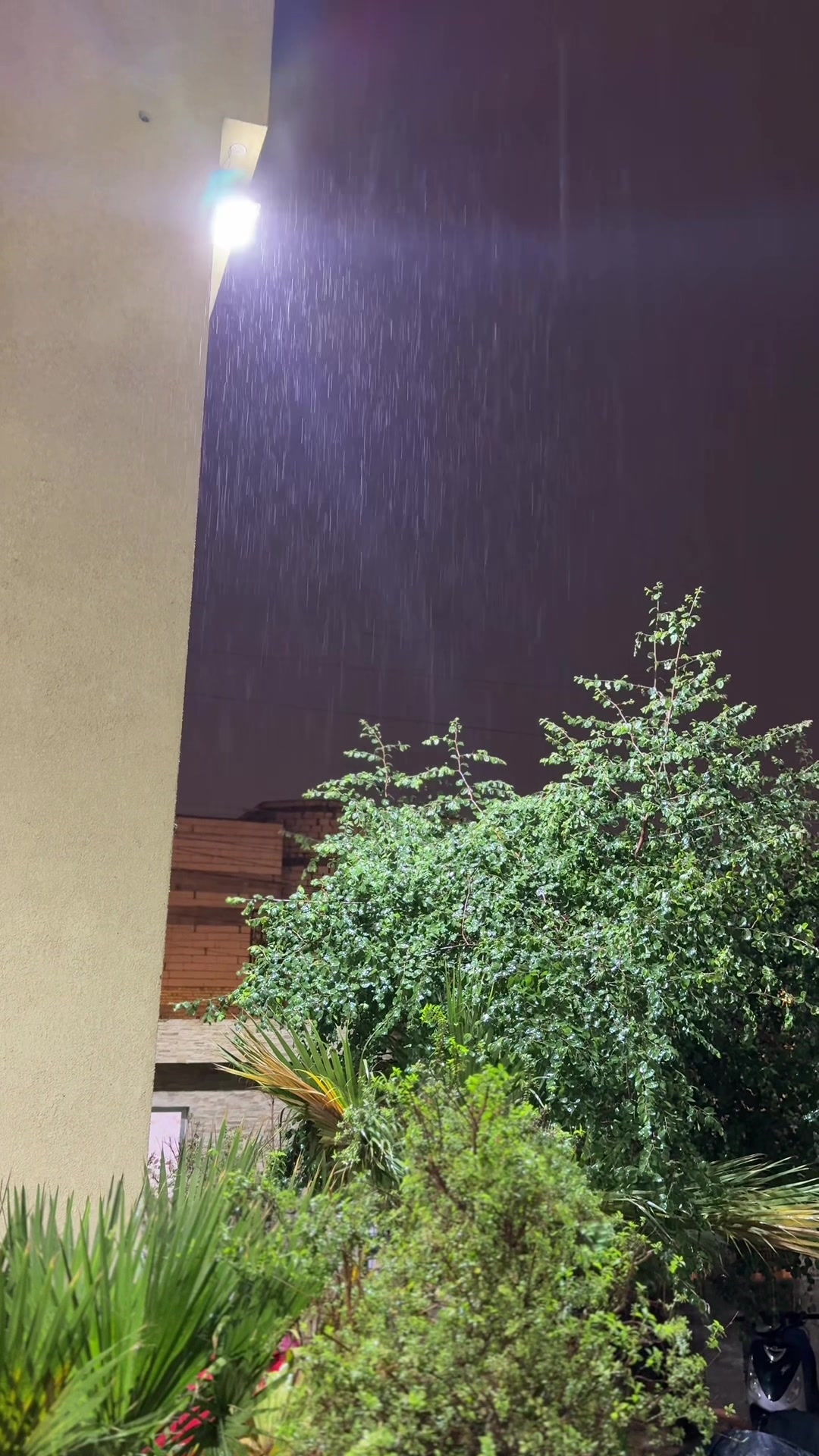 @أبن البصره