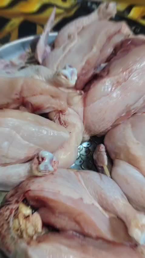 @محمدالساعدي