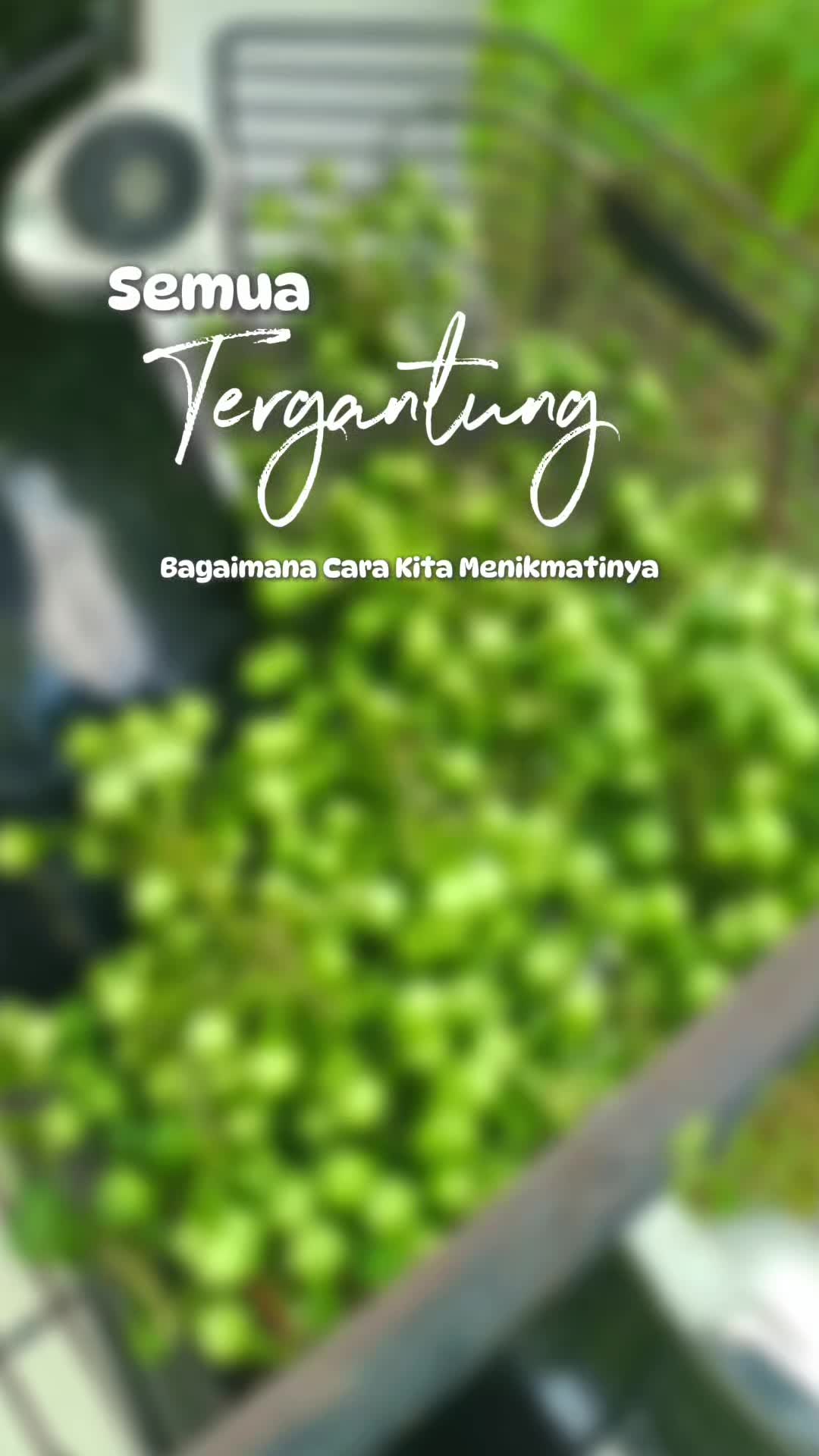 @Atok nOrMi