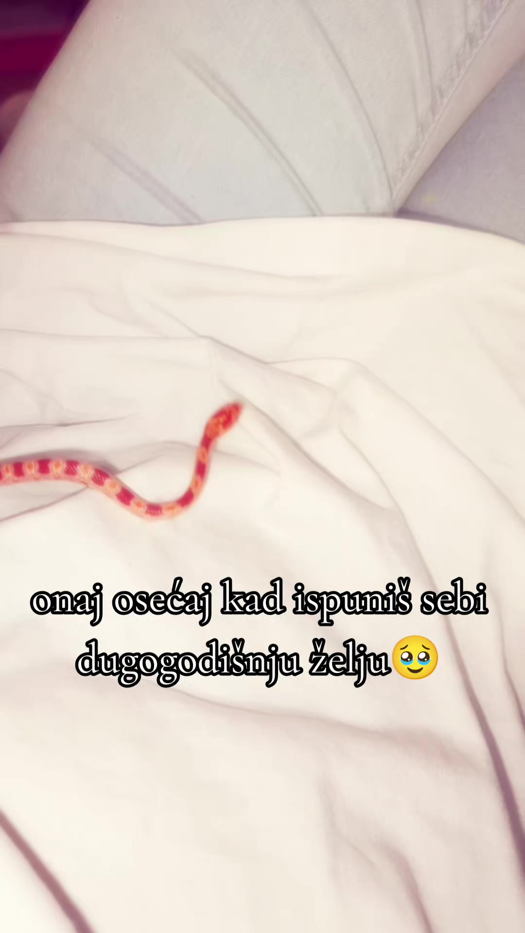 @๐ ๐๐ข๐๐๐ ๐