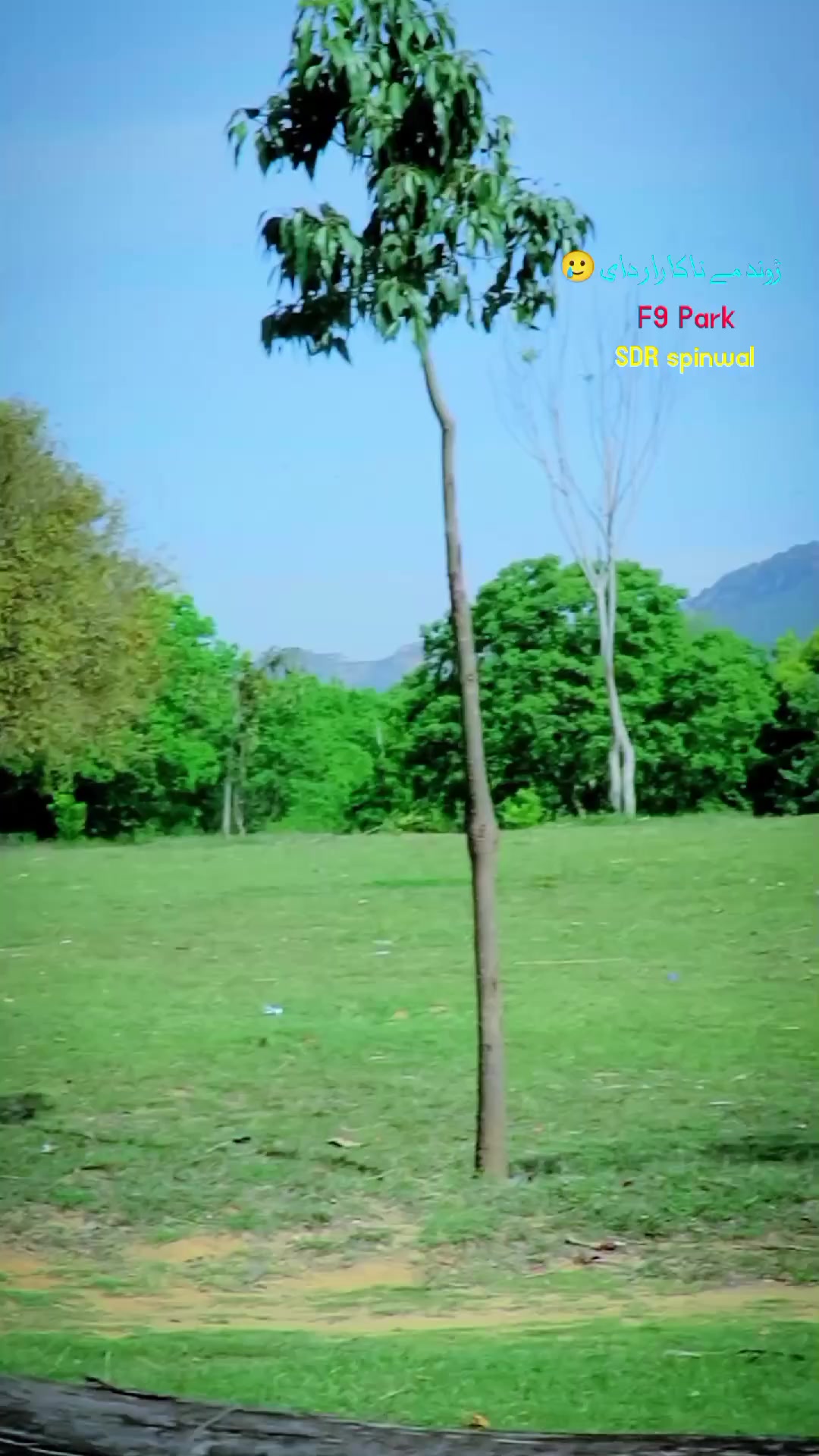 @༼ ❌↗ 𝙎𝘿𝙍.spinwal ↖ ༽❌