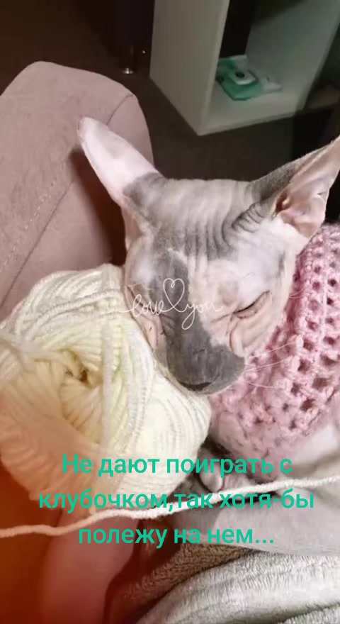 @Milus53