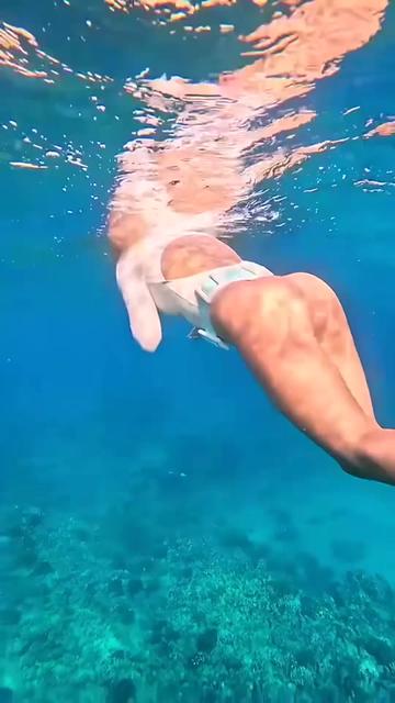 @duthuhuyn3868