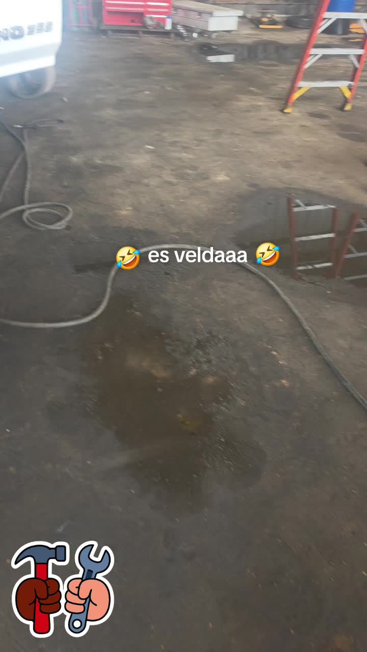 @alex tazmania