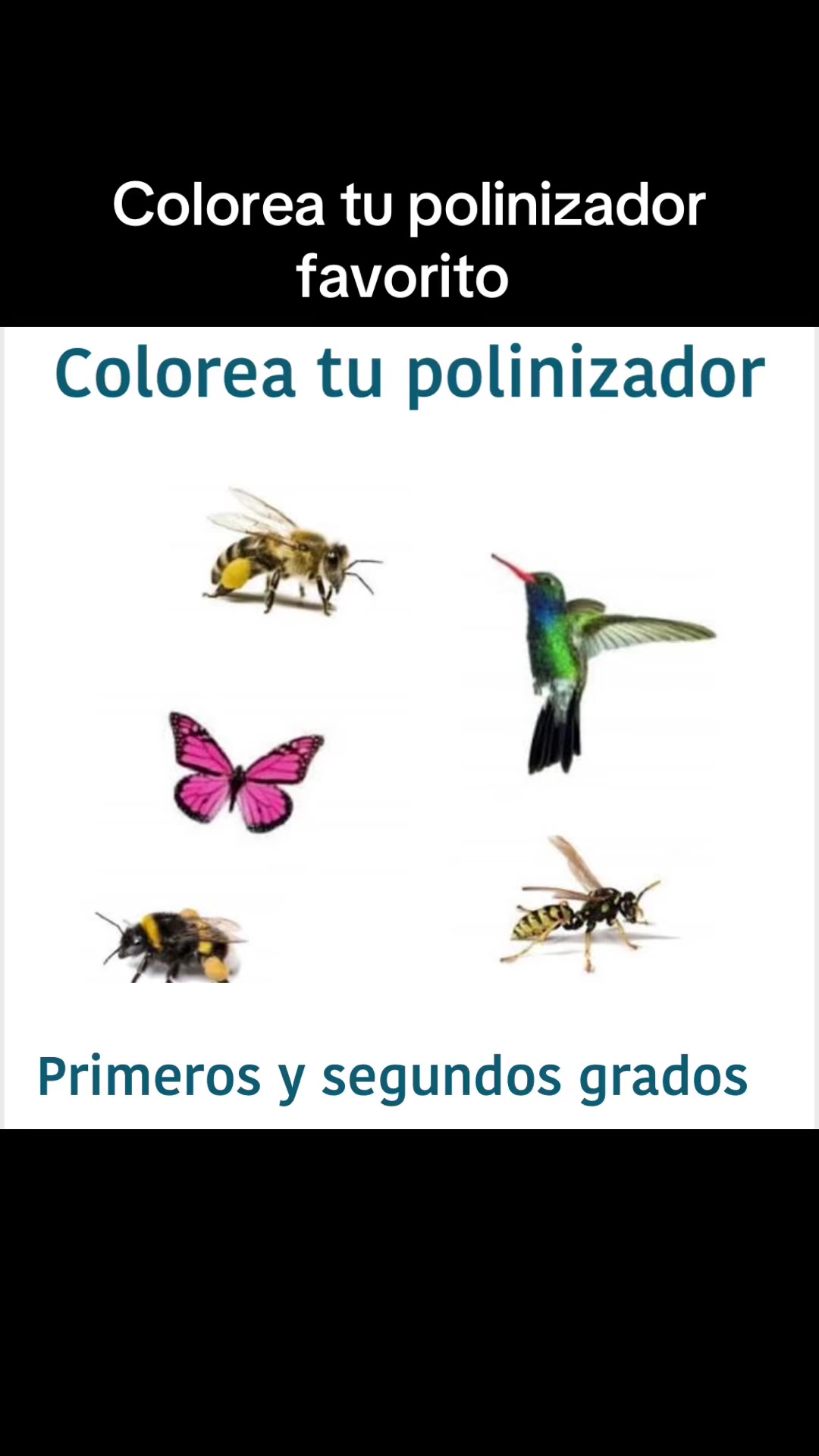 @Jes&uacute;s G. Becerra