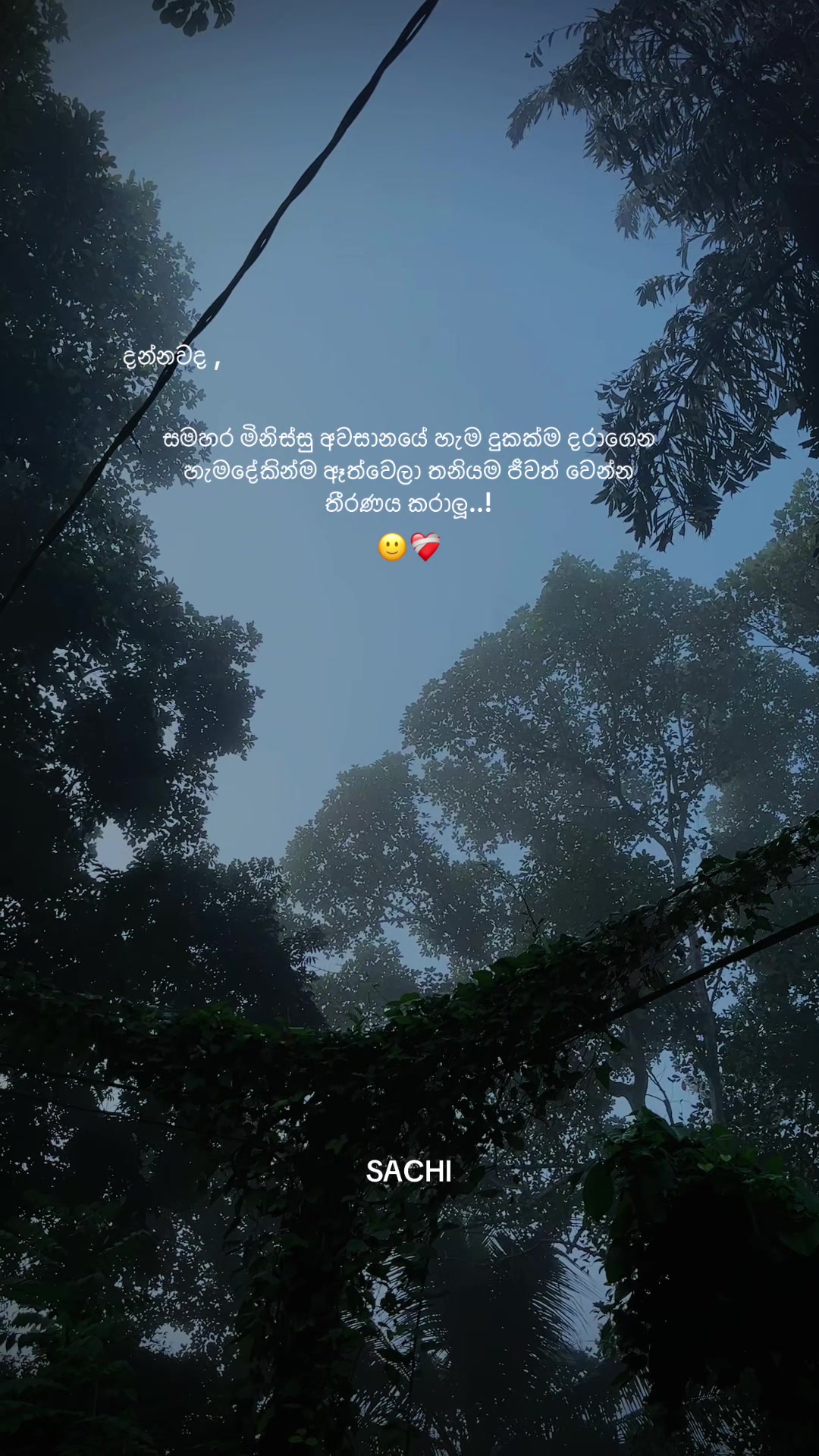 @𝙈𝙍 . 𝙎𝘼𝘾𝙃𝙄 :◉༒◉