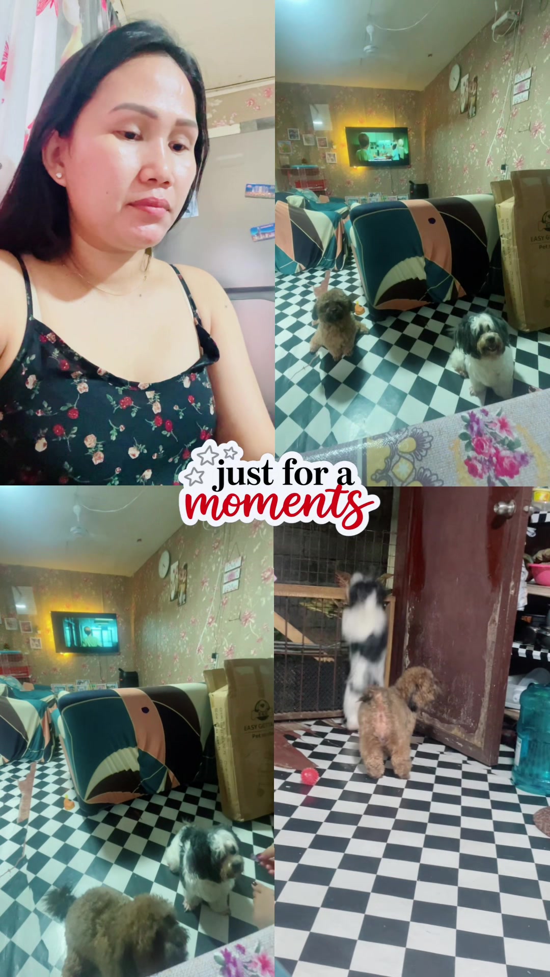 @Zoey&Zoomy&Zoya🥰🐶🐱🐶🐾🦴
