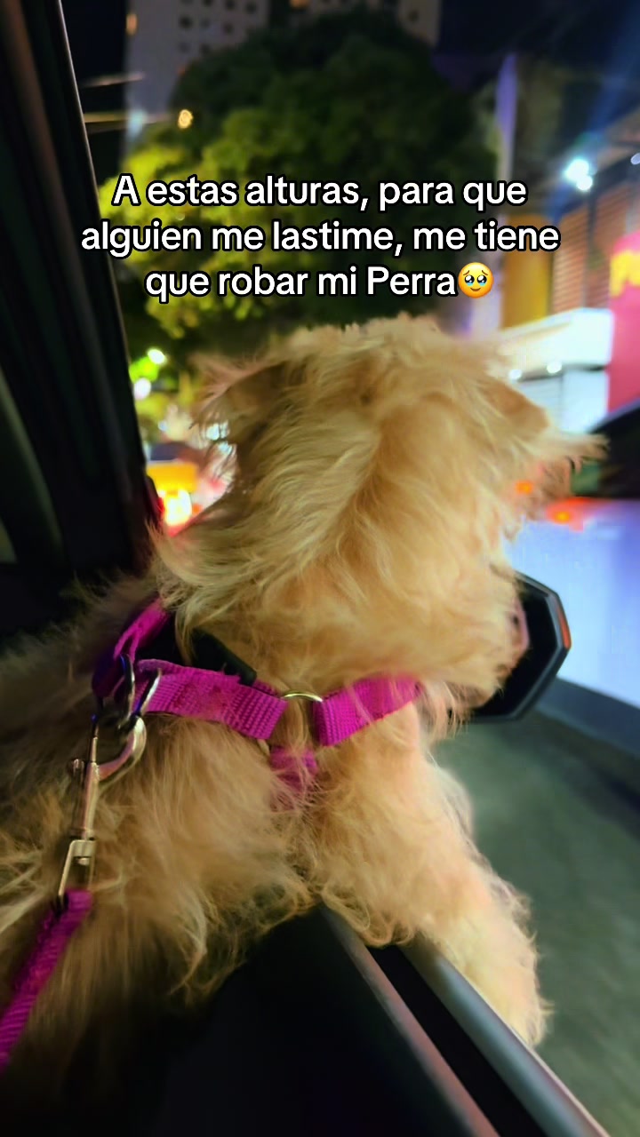 @Sandra Milena Ramirez Vega