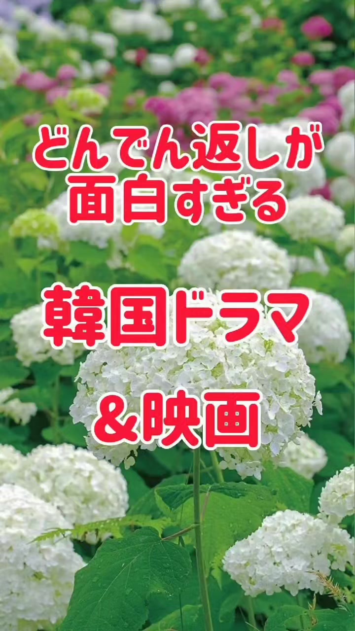 @ハンミ